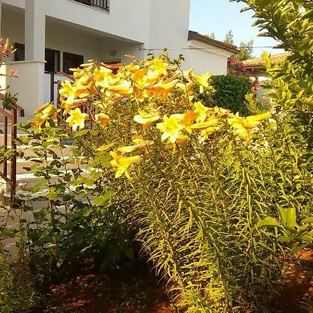 Stella Marina Umag