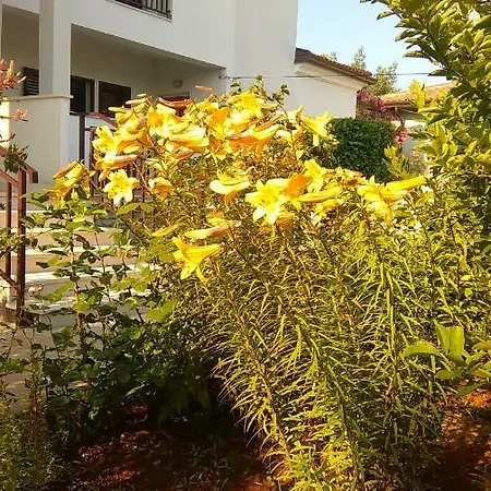 Stella Marina Umag