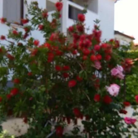Stella Marina Umag